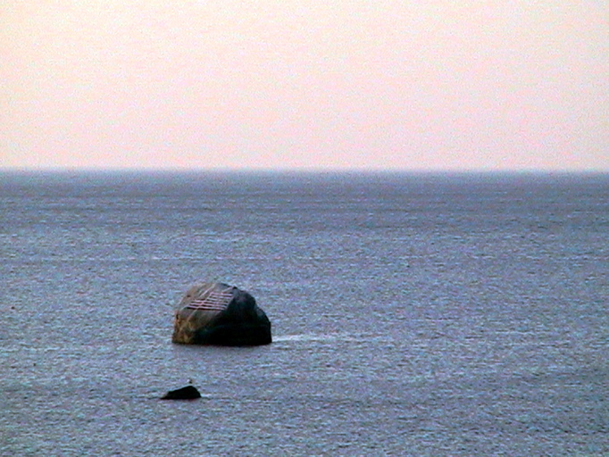 2005 Photos