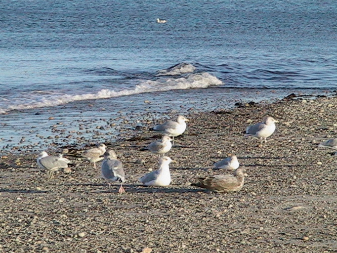 2005 Photos