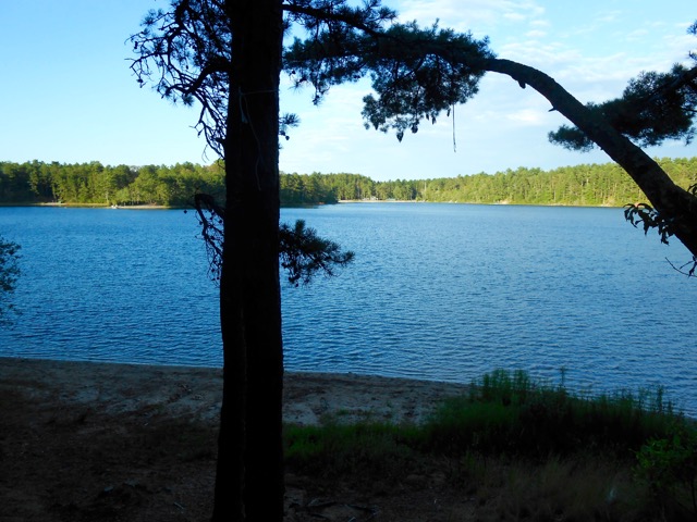 Curlew Pond at Sunset