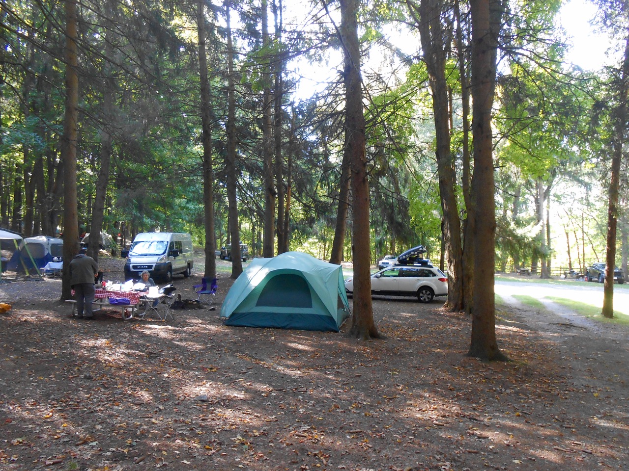 Site 42