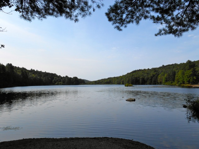 The lake at Cherry Plain SP