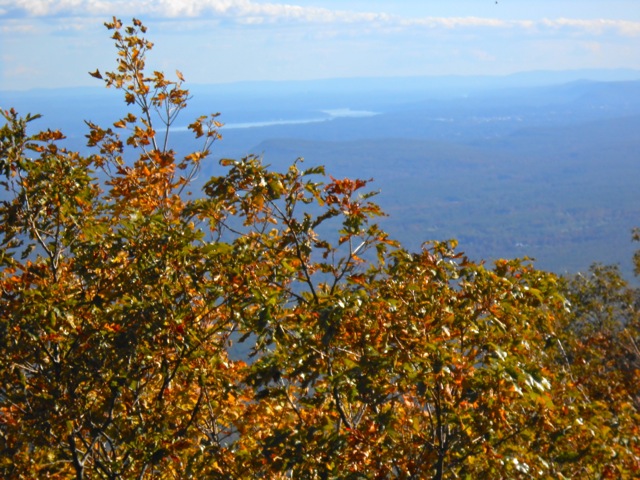 Escarpment View